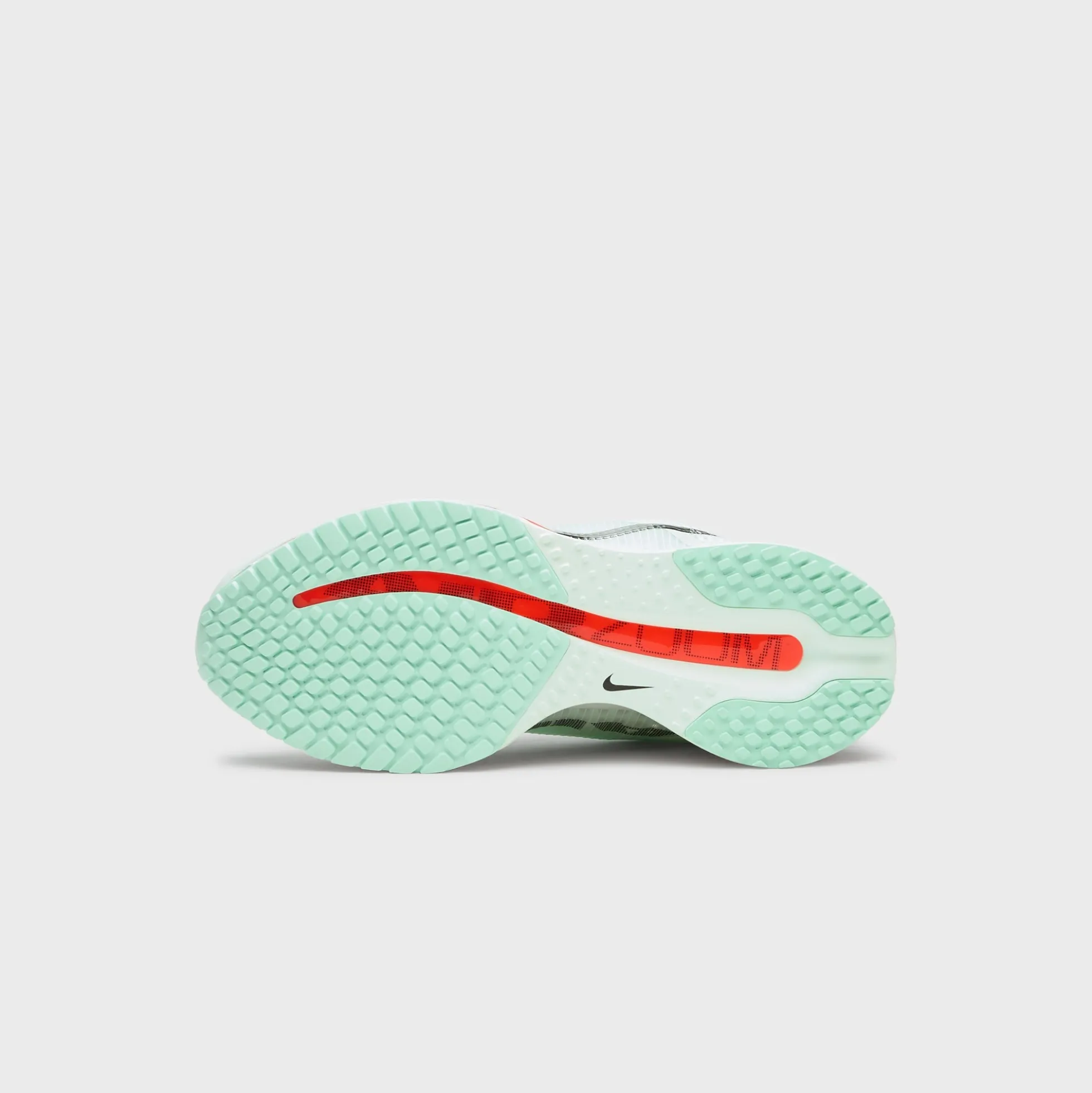 Air Zoom Pegasus Premium