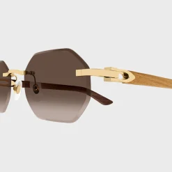 CT0439S Man Wood Sunglasses