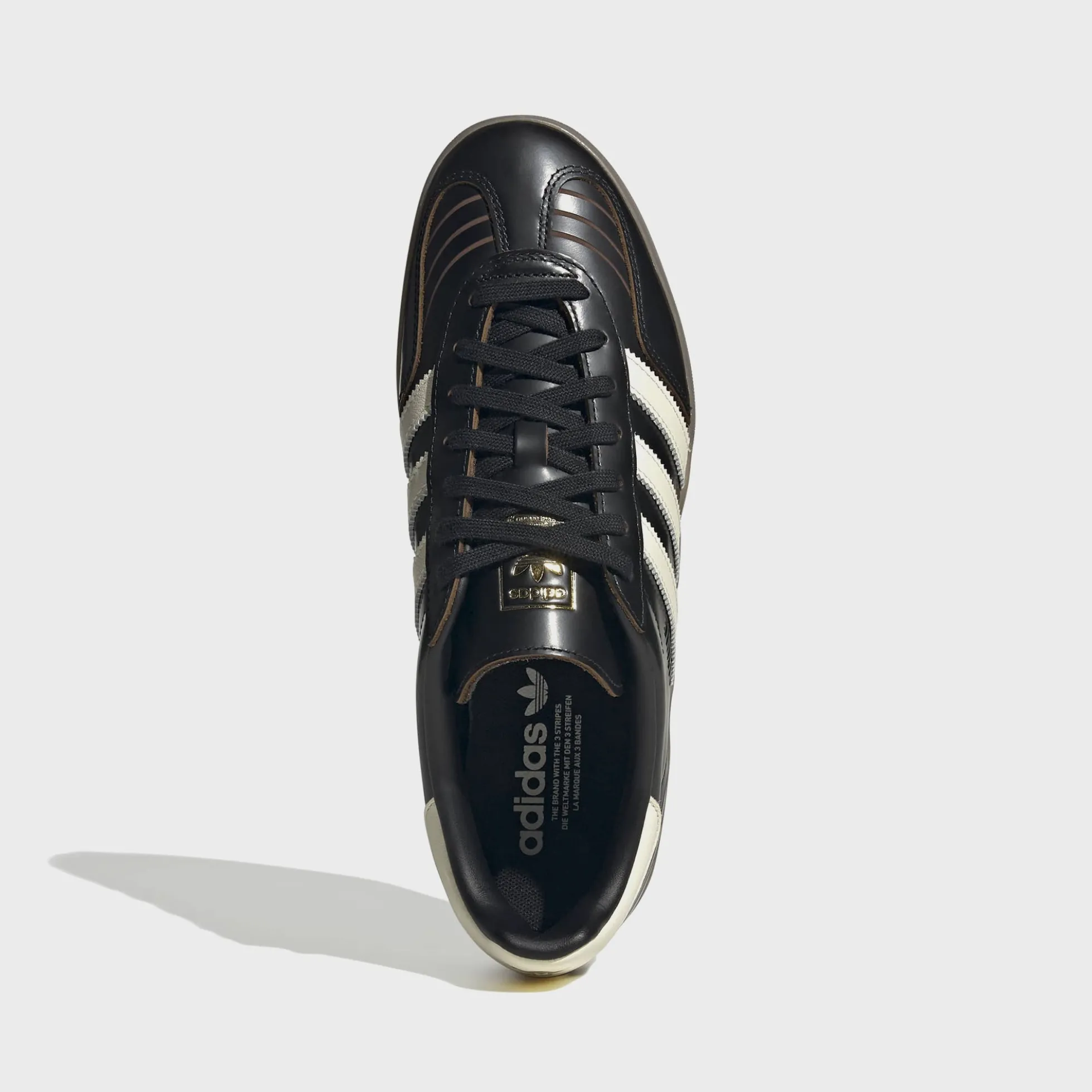 Gazelle Indoor