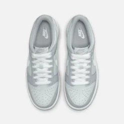 GS Dunk Low
