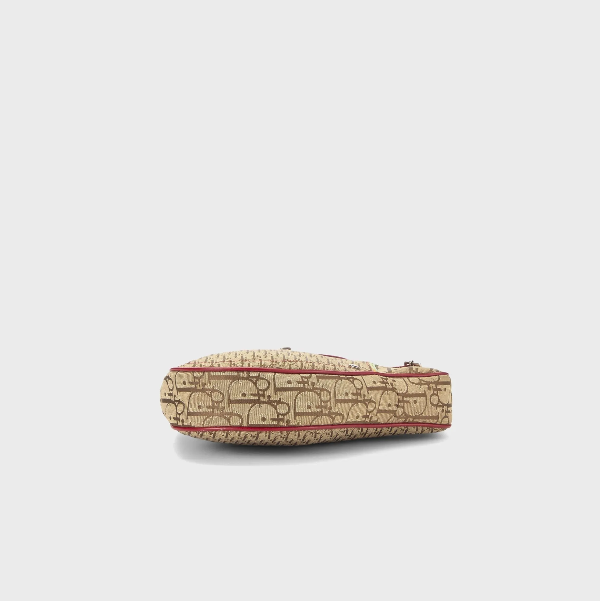 WGACA Dior Canvas Rasta Saddle Pochette