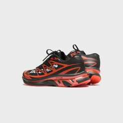 x Salomon XT